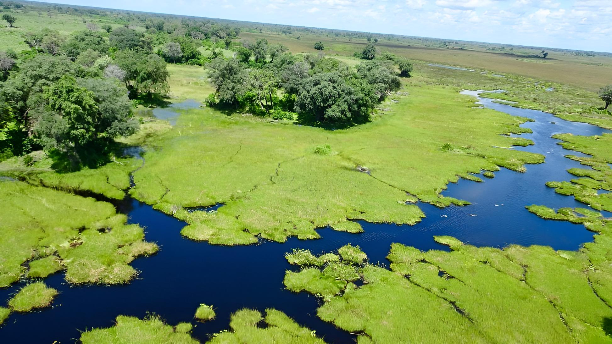 Le delta de l’Okavango, d’après Trip Advisor